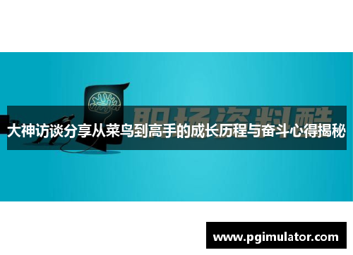 大神访谈分享从菜鸟到高手的成长历程与奋斗心得揭秘