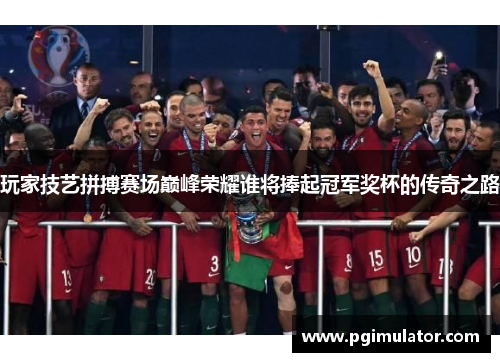 玩家技艺拼搏赛场巅峰荣耀谁将捧起冠军奖杯的传奇之路