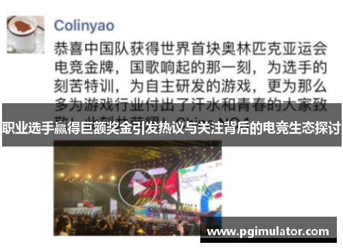 职业选手赢得巨额奖金引发热议与关注背后的电竞生态探讨