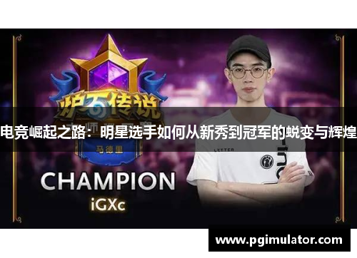 电竞崛起之路：明星选手如何从新秀到冠军的蜕变与辉煌