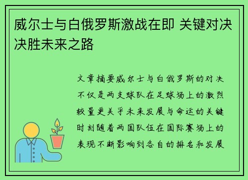 威尔士与白俄罗斯激战在即 关键对决决胜未来之路