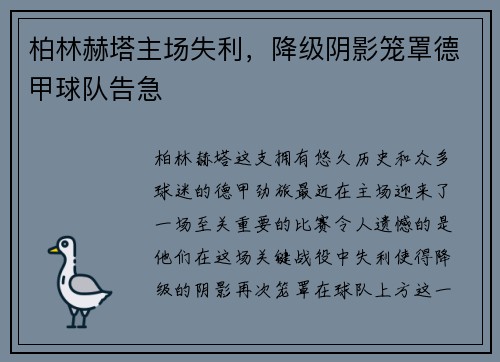 柏林赫塔主场失利，降级阴影笼罩德甲球队告急