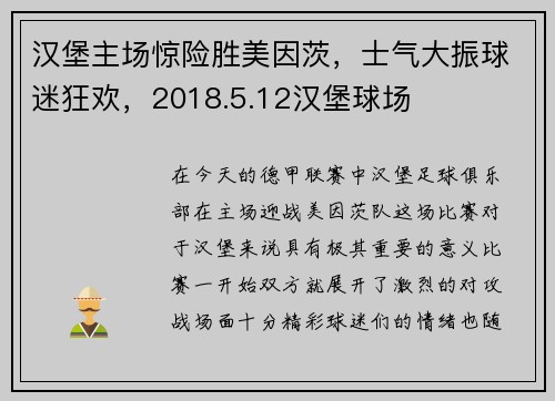 汉堡主场惊险胜美因茨，士气大振球迷狂欢，2018.5.12汉堡球场